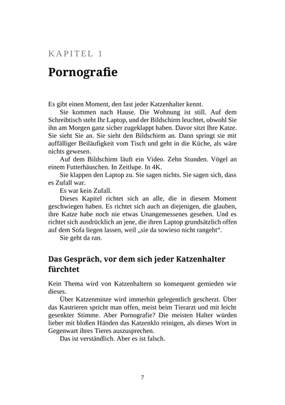 WIE SIE MIT IHRER KATZE ÜBER PORNOGRAFIE SPRECHEN -  Enthaltsamkeit, Drogen, Satanismus und andere Gefahren für ihre neun Leben