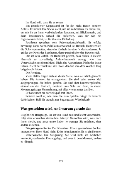 WIE SIE MIT IHREM HUND ÜBER SEINE PEINLICHEN ANGEWOHNHEITEN SPRECHEN - Rammeln, Gras, Aas und andere Dinge, für die sie sich im Park entschuldigen müssen