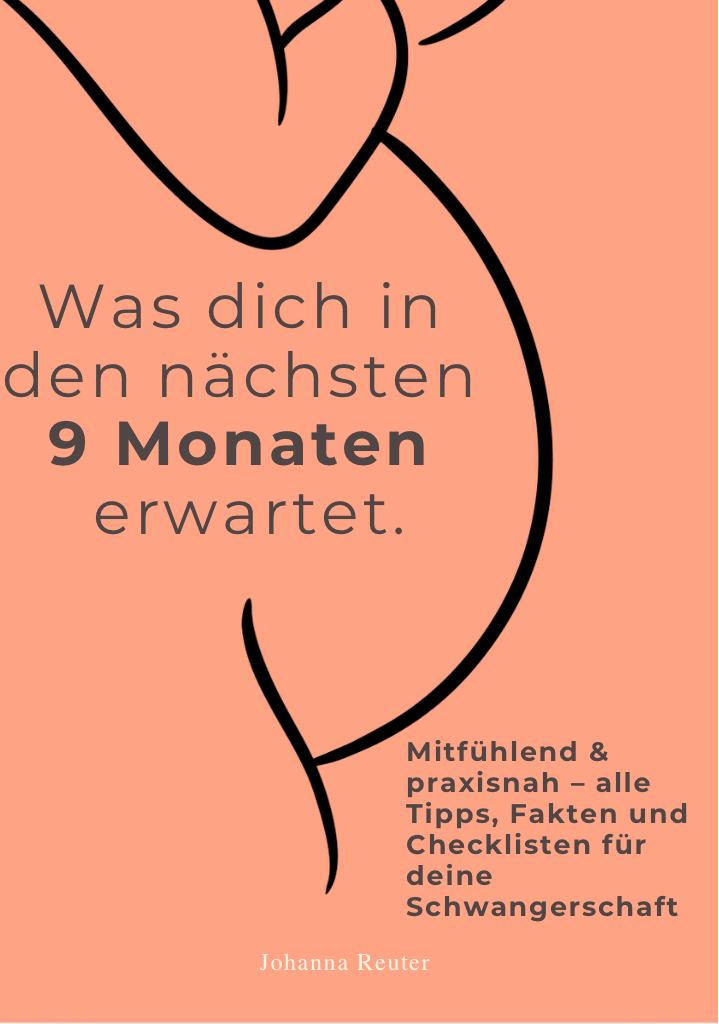 WAS DICH IN DEN NÄCHSTEN 9 MONATEN ERWARTET - Mitfühlend & praxisnah – alle Tipps, Fakten und Checklisten für deine Schwangerschaft