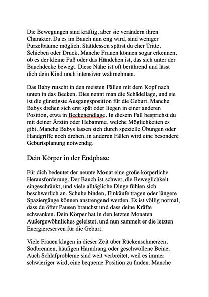WAS DICH IN DEN NÄCHSTEN 9 MONATEN ERWARTET - Mitfühlend & praxisnah – alle Tipps, Fakten und Checklisten für deine Schwangerschaft