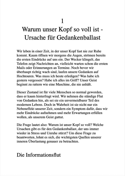 MENTALER MINIMALISMUS - Weniger Gedankenballast, mehr Klarheit, Fokus und Freiheit