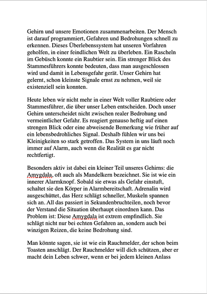 HÖR AUF, ALLES AN DICH RAN ZU LASSEN - Wie du dich von Overthinking, Stress und emotionalem Chaos befreist.