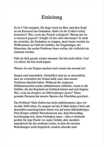 SCHLUSS MIT DEN SORGEN - Neurohacks und Achtsamkeit für sofortige innere Ruhe & Klarheit