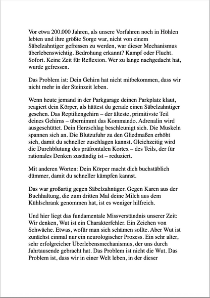 ZEN UND DIE KUNST, DEN LEUTEN NICHT AUF DIE SCHNAUZE ZU HAUEN - Emotionale Selbstkontrolle für Fortgeschrittene