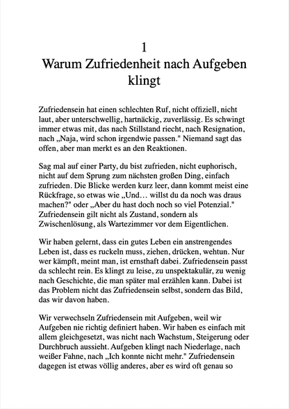 DER HEIẞE SCHEIẞ VOM ZUFRIEDENSEIN - Wie du aufhörst, dir im Weg zu stehen und anfängst, zufrieden zu sein
